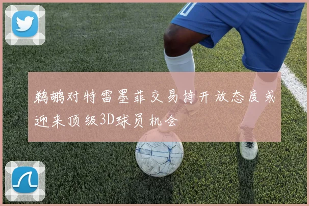 鹈鹕对特雷墨菲交易持开放态度或迎来顶级3D球员机会